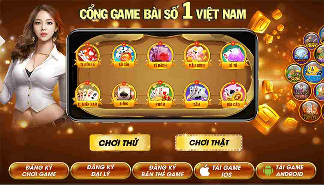 Sơ lược các thông tin về nhà cung cấp TRC 