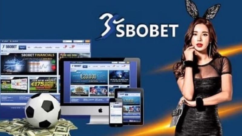 Giải mã các thể loại tỷ lệ kèo Sbobet